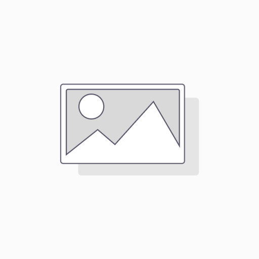 [MIAO MIAO] Fried Ginger Shred Oil (230g)